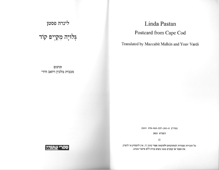קובץ:Gluya1.png