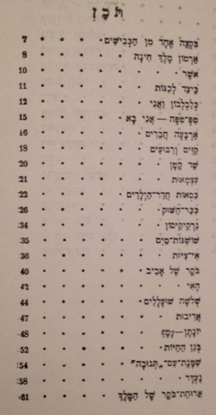 קובץ:IMG 2543.jpg