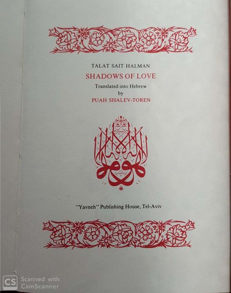 קובץ:Shadows 1.jpg
