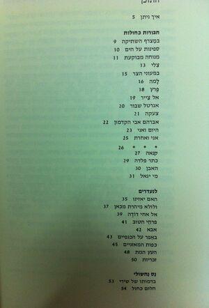 Nesnachsholi4.jpg