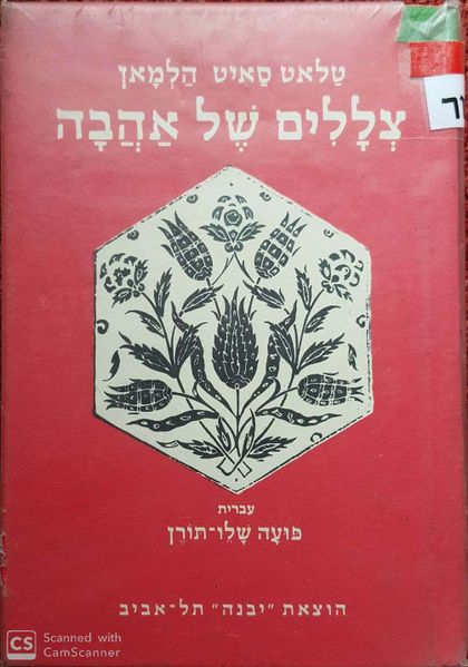 קובץ:Shadows 0.jpg