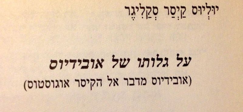 קובץ:MANN 449.jpg